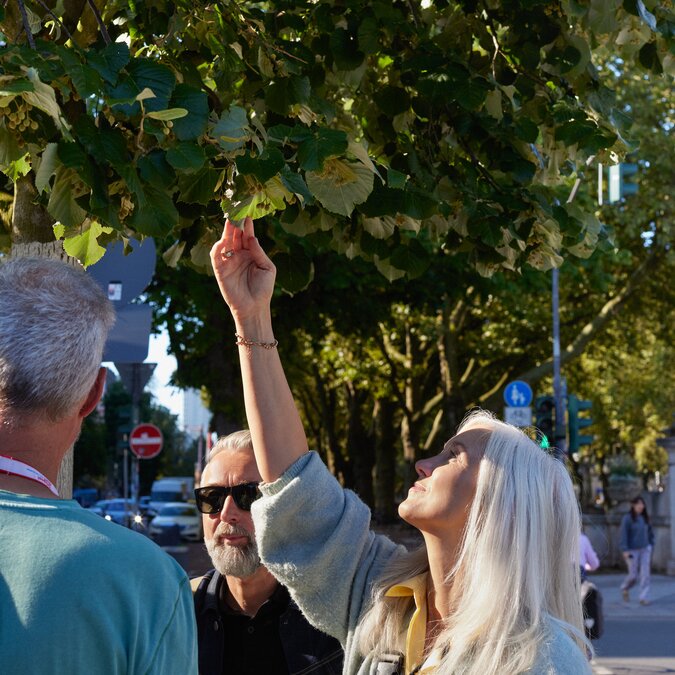 Klimawandeln | © Düsseldorf Tourismus GmbH, Foto: Sabrina Weniger Personen unter einem Baum auf Stadtführung in Düsseldorf.  | © Düsseldorf Tourismus GmbH, Foto: Sabrina Weniger