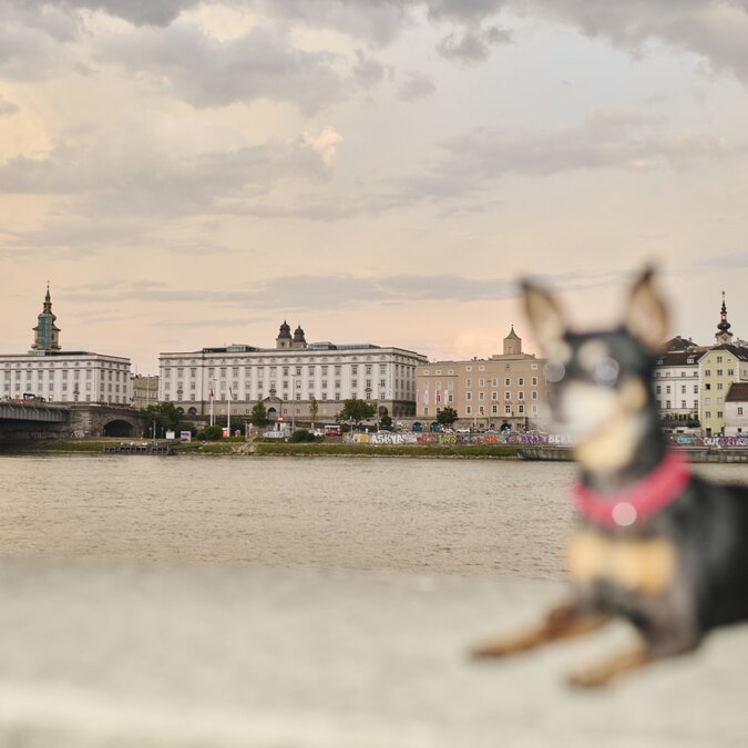 Linz Sicht auf die Stadt | © Linz Tourismus_MartinStoebich railtour Städtereise Linz | © Linz Tourismus_MartinStoebich