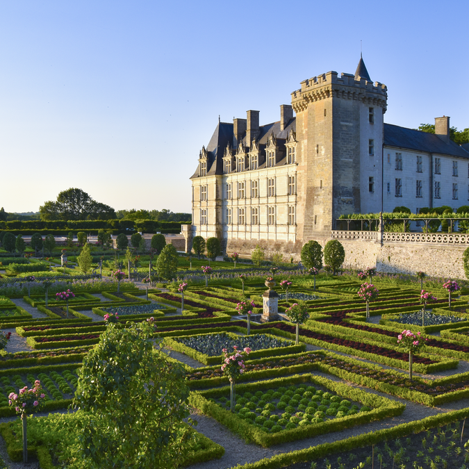 Villandry | ©  Château de Villandry - Guillaumette Mourain | En collaboration avec les ADT Loir-et-Cher et Touraine  Ferien railtour Loiretal | ©  Château de Villandry - Guillaumette Mourain | En collaboration avec les ADT Loir-et-Cher et Touraine