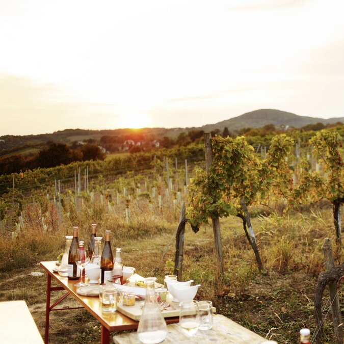 Weinberg | © WienTourismus/Peter Rigaud Weinberg mit einem gedeckten Tisch im Vordergrund | © WienTourismus/Peter Rigaud