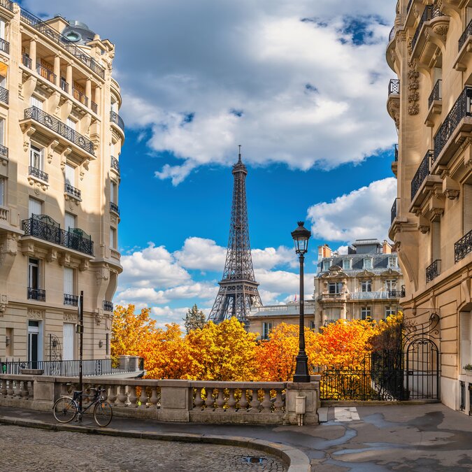 © Shutterstock  © Shutterstock
